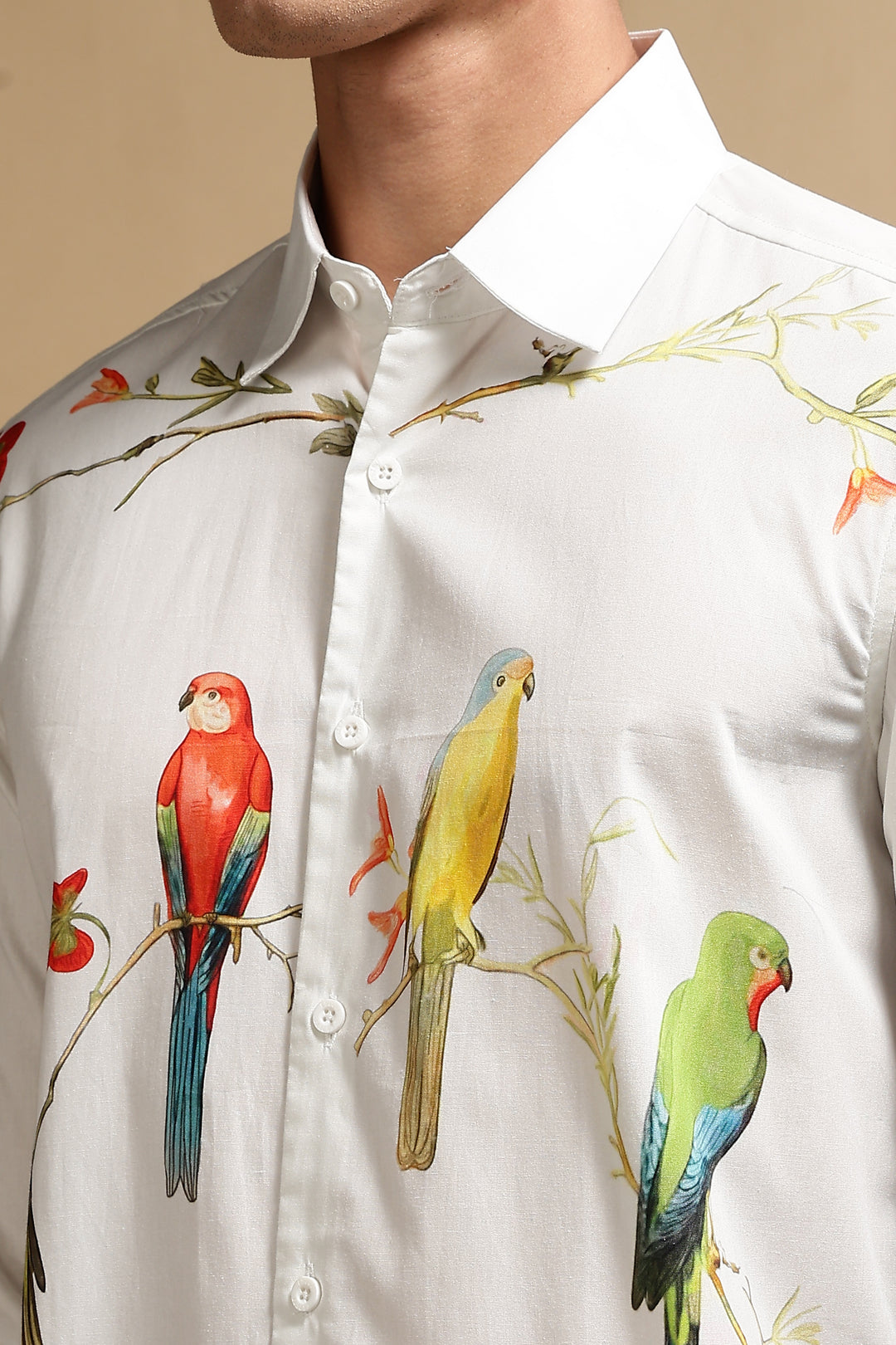 Sun conure Shirt